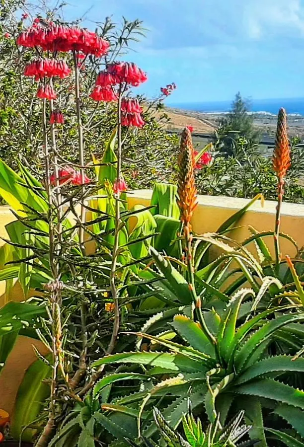 Landhuis Casitas Tabayesco Pension Spanje
